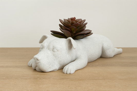 Sleeping Staffy Succulent Planter